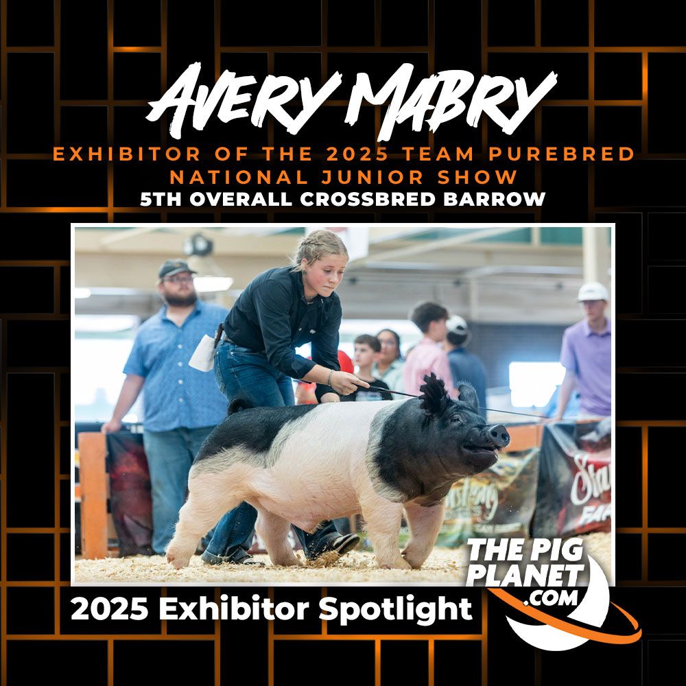 Avery Mabry