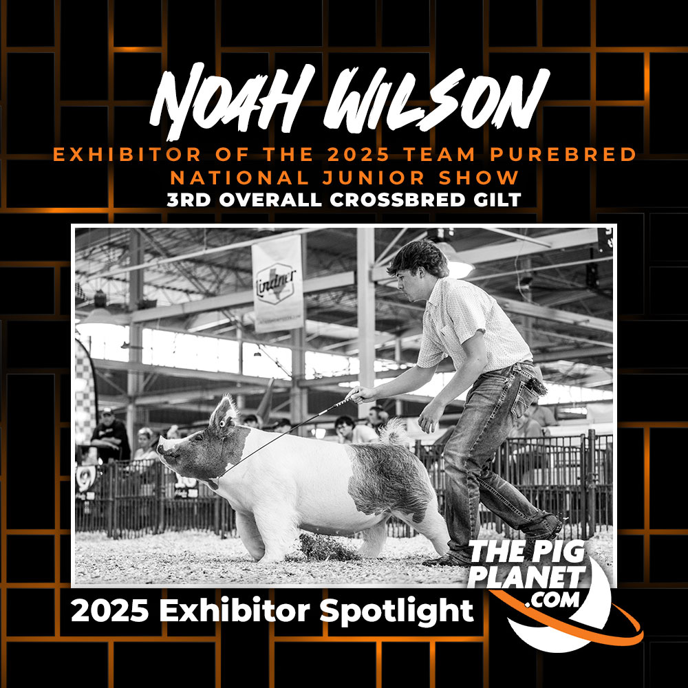 Noah Wilson