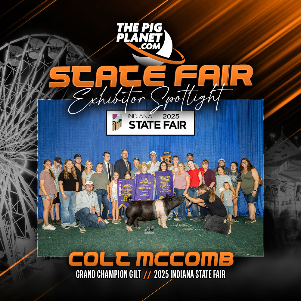 Colt McComb
