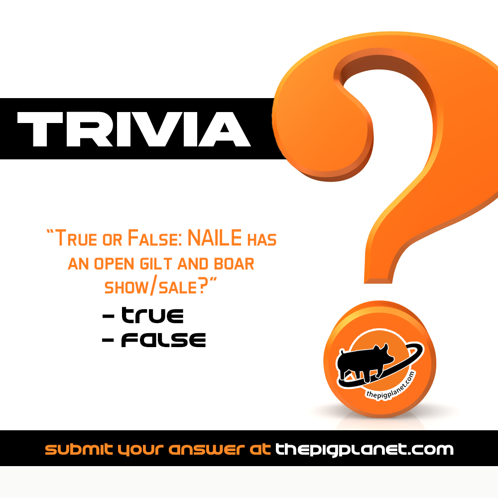 TPPTrivia-sept11