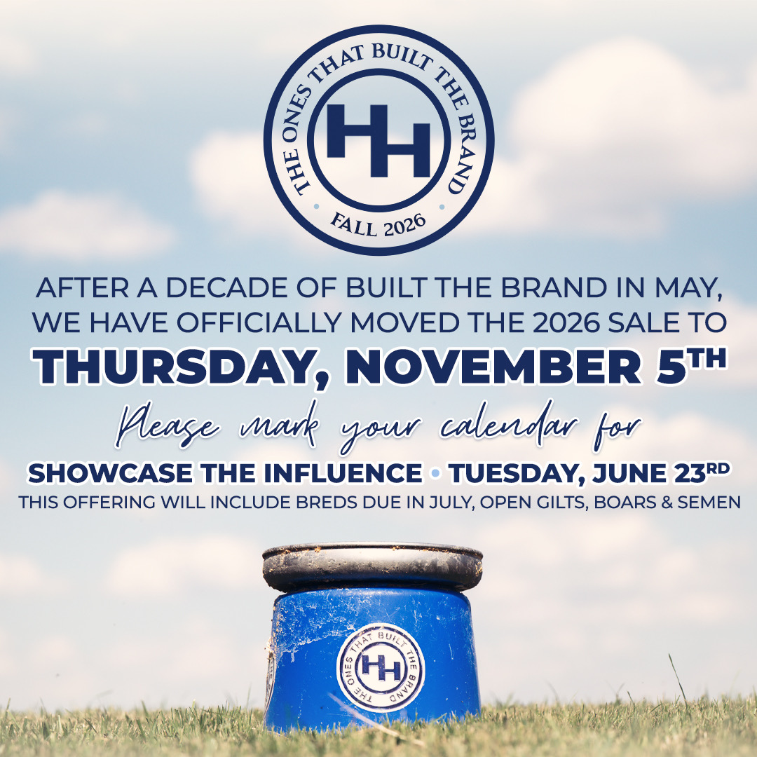 Heimer Hampshires – Announcement