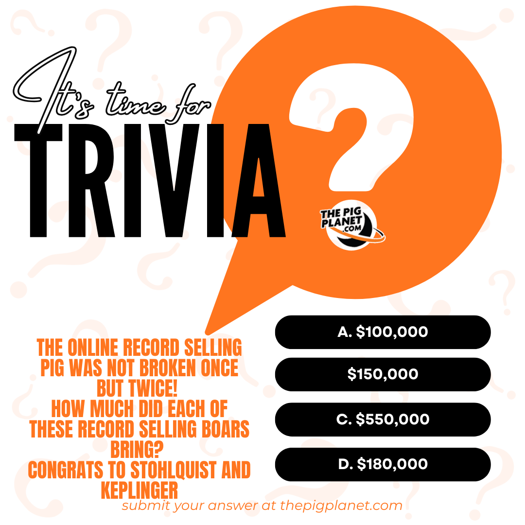 PigPlanet_26TriviaTemplate