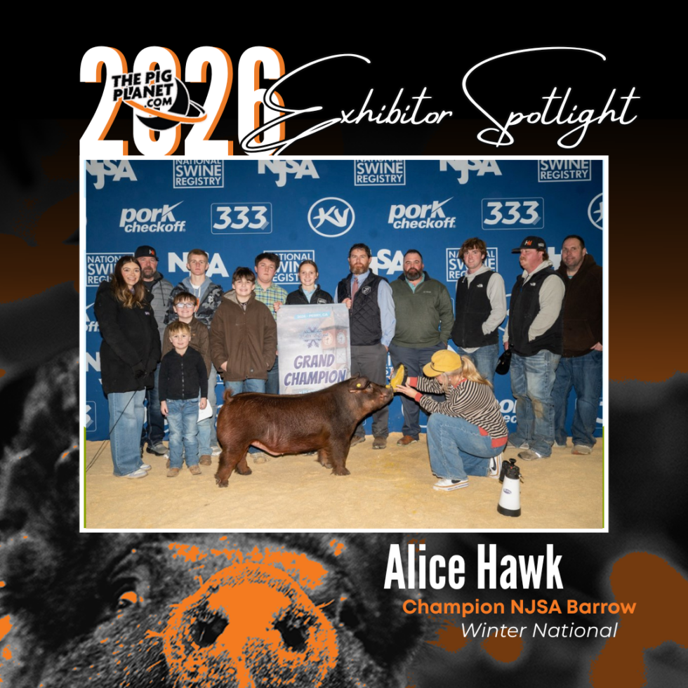 Alice Hawk - The Pig Planet