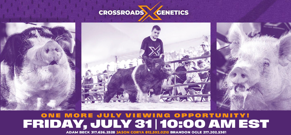Crossroads Genetics – Jumbo