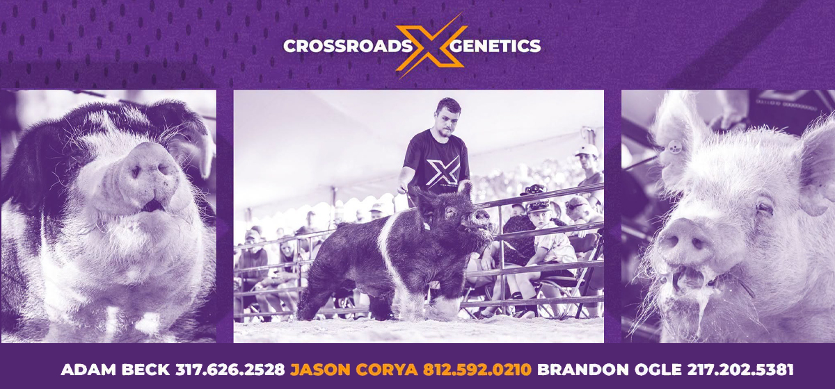 Crossroads Genetics – Jumbo