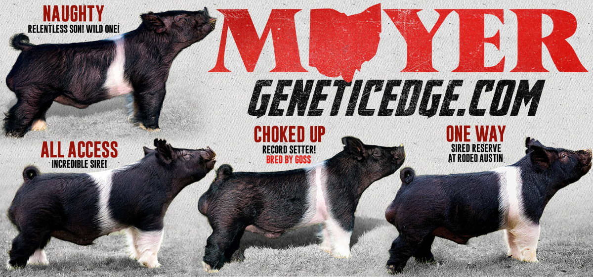 Moyer – Genetic Edge Jumbo
