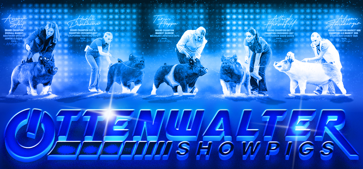 Ottenwalter Showpigs