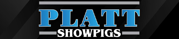 Platt Showpigs