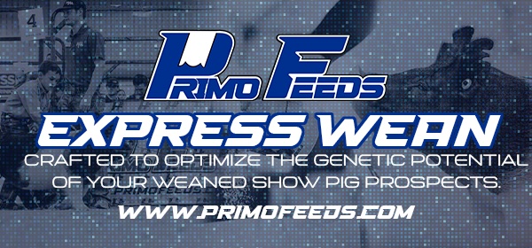 Primo Feeds – Jumbo