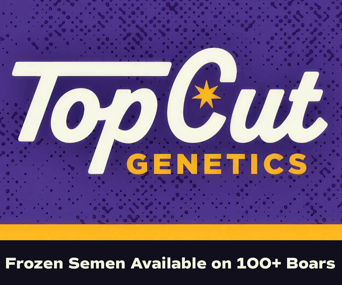 Top Cut – FeatureSquare