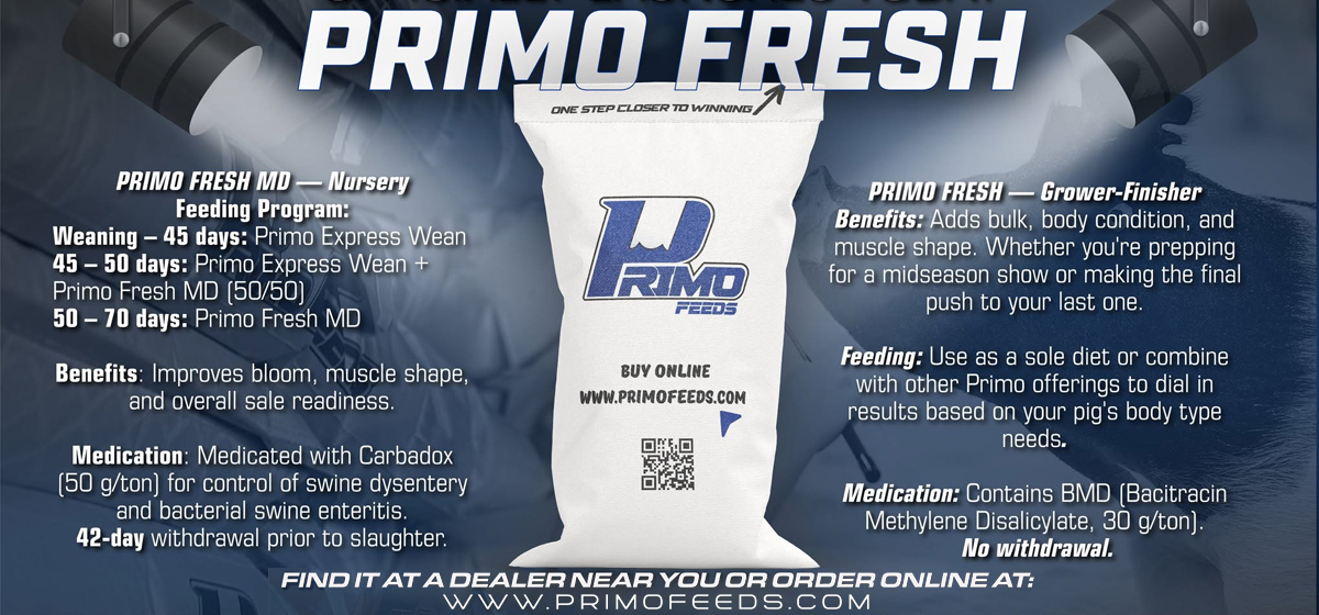 Primo Feeds – Jumbo