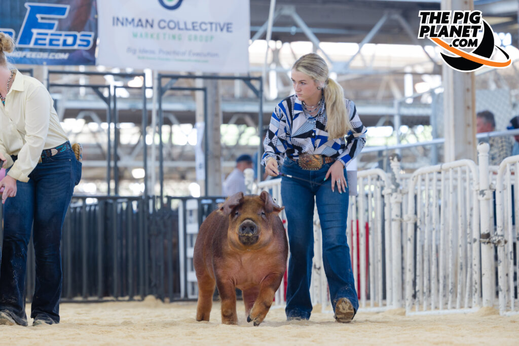 The Exposition Day 2  Highlights
