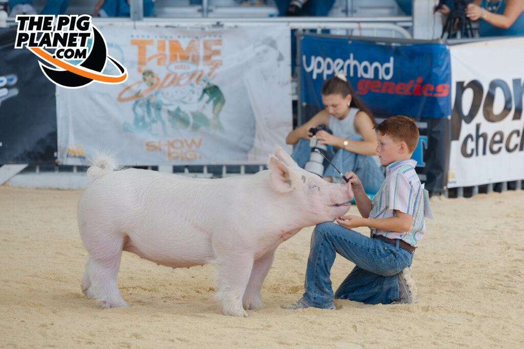 Show Highlights
