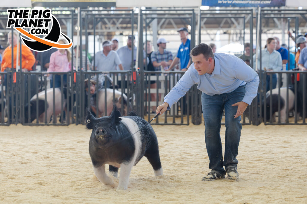 Show Highlights