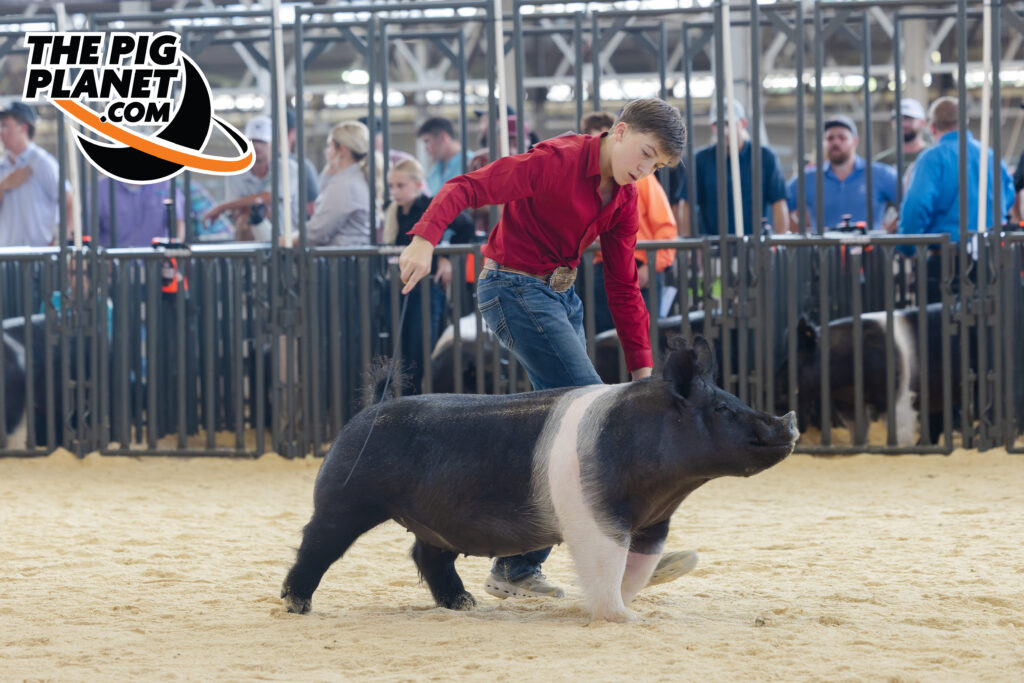 Show Highlights