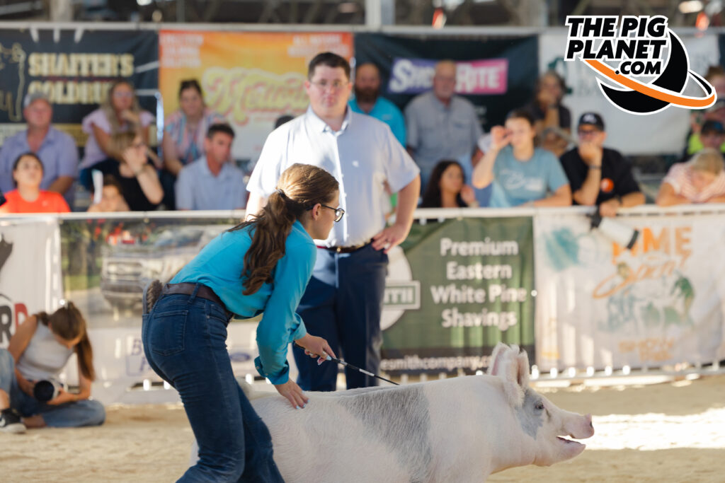 Show Highlights