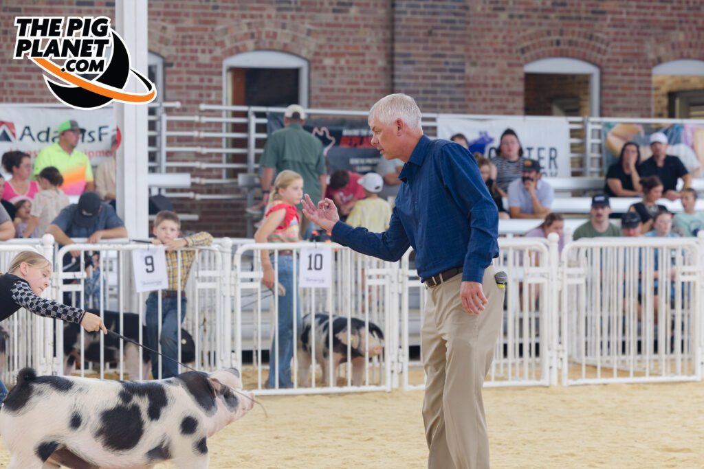 The Exposition Day 4 - All Smiles for the Purebred Gilts Highlights