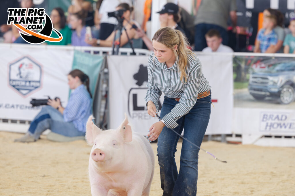 The Exposition Day 4 - All Smiles for the Purebred Gilts Highlights