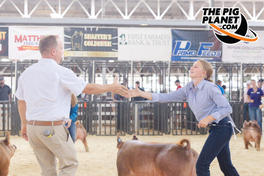 The Exposition Day 4 - All Smiles for the Purebred Gilts Highlights