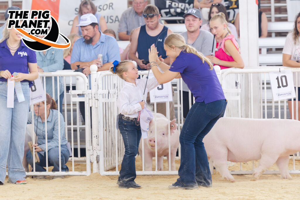 The Exposition Day 4 - All Smiles for the Purebred Gilts Highlights