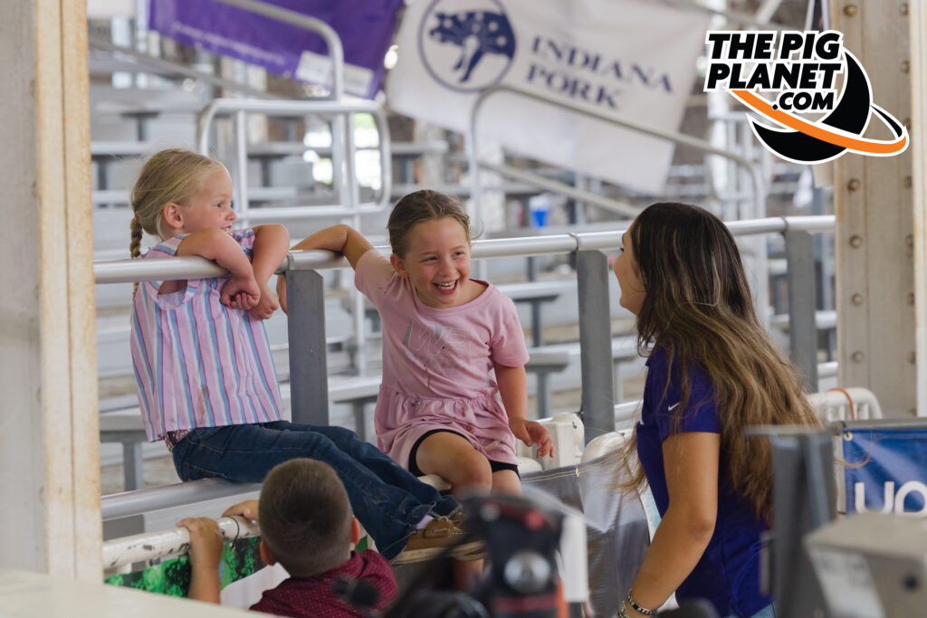 The Exposition Day 4 - All Smiles for the Purebred Gilts Highlights