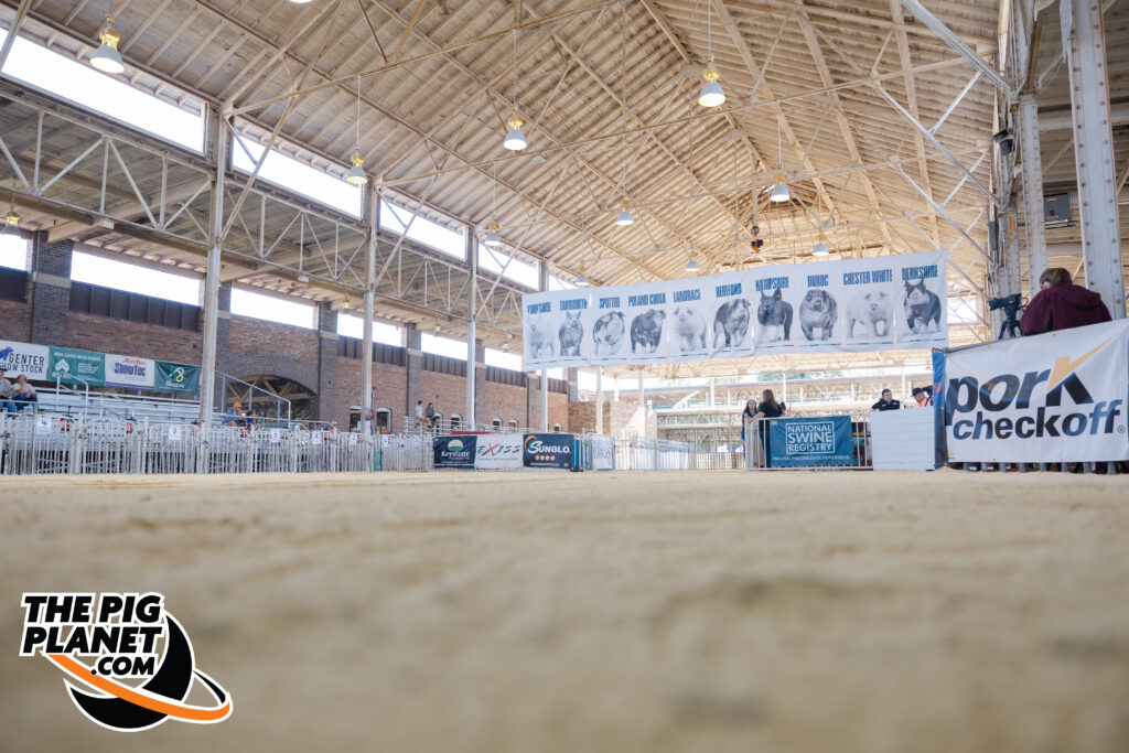 Exposition Day 5 - Purebred Barrows and Grand Drive  Highlights