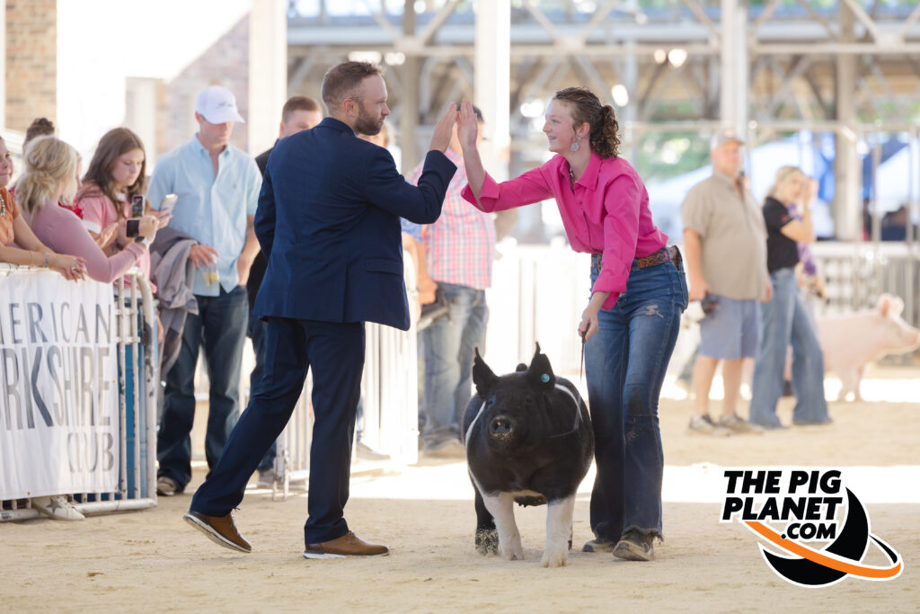 Exposition Day 5 - Purebred Barrows and Grand Drive  Highlights