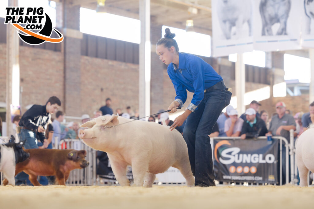 Exposition Day 5 - Purebred Barrows and Grand Drive  Highlights