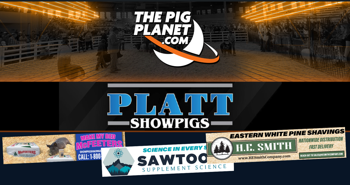 Leaderboard Banner