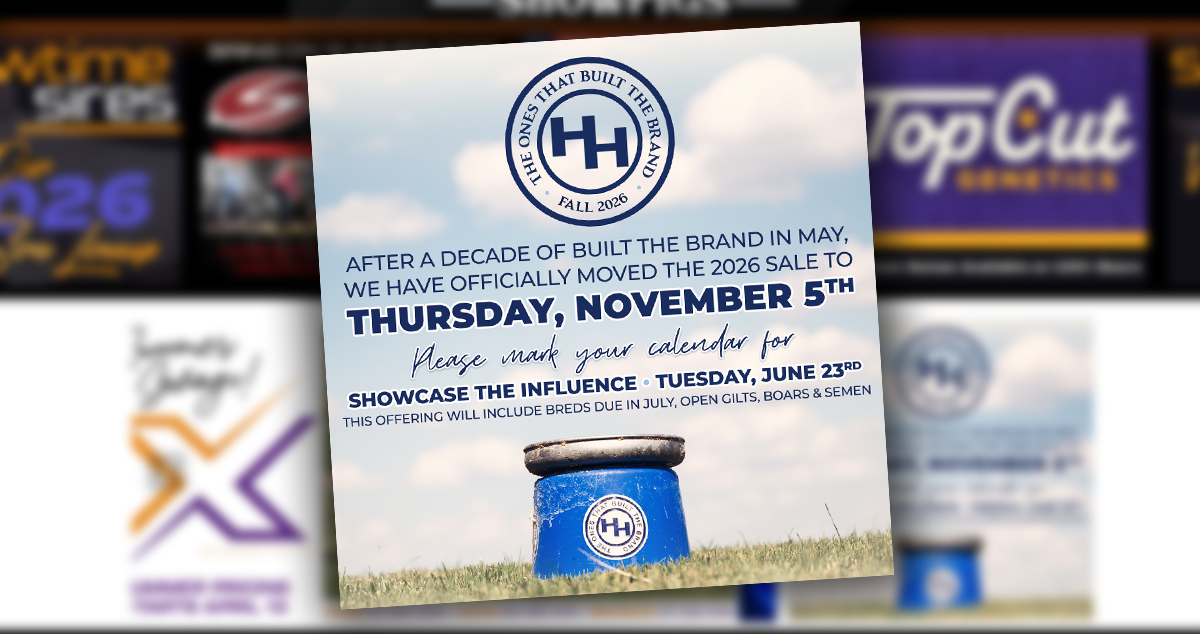 Announcement Graphics