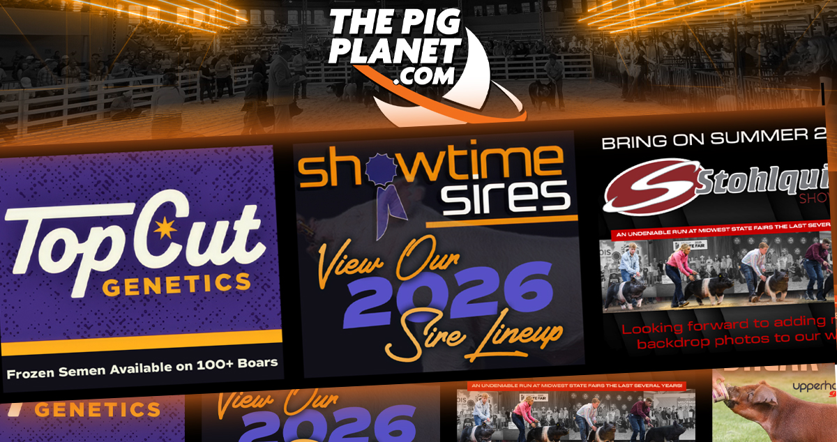 The Pig Planet Feature Slideshow